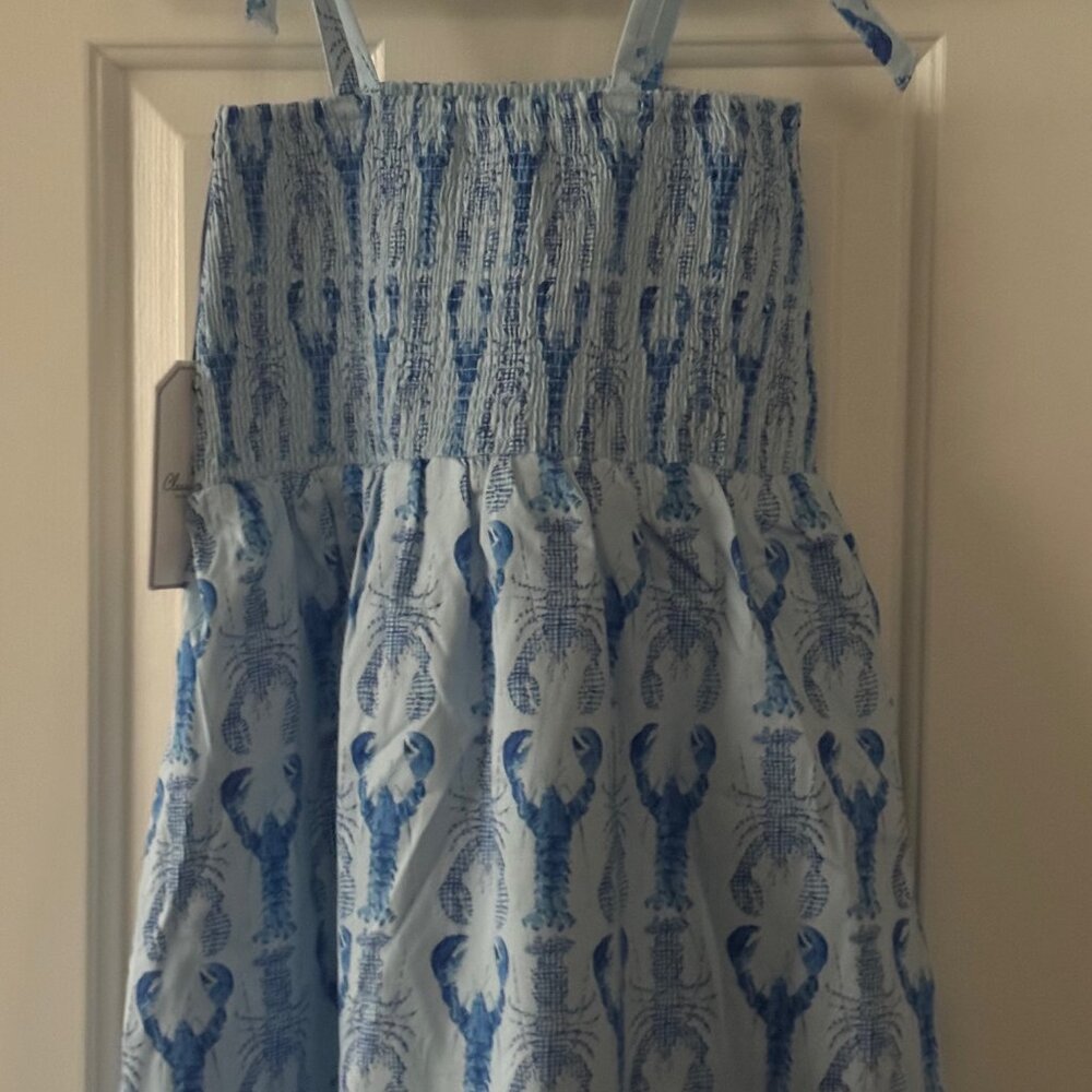 New Classic Prep Blue Hadley Dress Gingham Lobsters Print Smocked Dress Size 10 - Picture 11 of 12